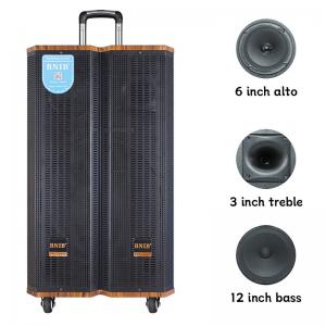 China 12 Inch Super Bass Portable Trolley Speaker Subwoofer Rechargeable With Wireless Mic factory