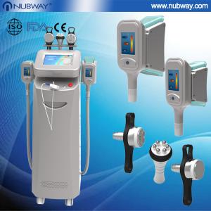 China cryo lipo fat freeze system face and body slimming machine factory