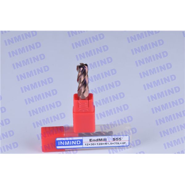 2 Flute 4 Flute Corner Radius End Mill with SiN AlTiN Coating R1.0 Corner