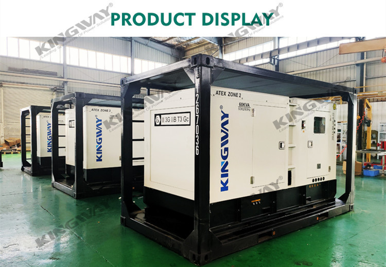 Diesel Engine Explosion Proof Generator