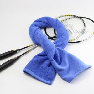 China Antibacterial Microfiber Sports Towel Customized Gym-Ready Sweat Towels factory