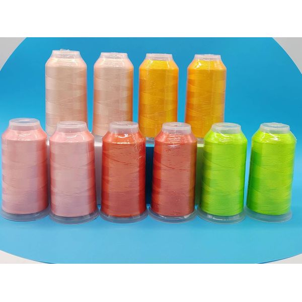 Fast Delivery 720 Colors 100% Polyester Embroidery Thread for Machine Embroidery Dyed