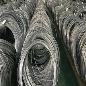 China Electric Fence Spring Stainless Steel Wire Rope 6mm A479 Bright Surface factory