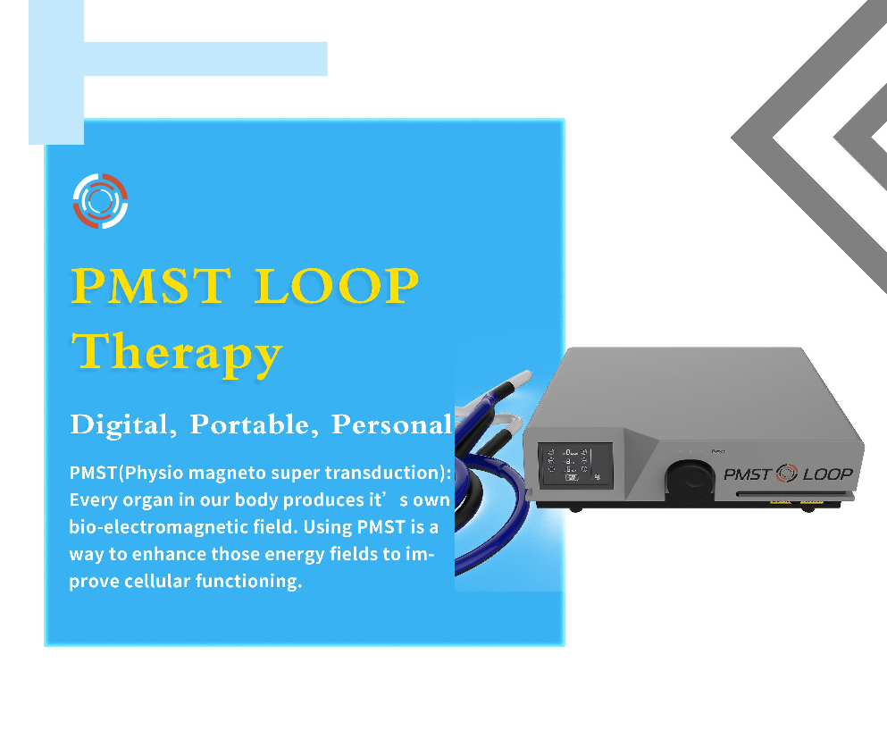 2024 Pemf Therapy Devices with Magic Mat Pads and Butterfly Loop for Salon and Home Physiotherapy