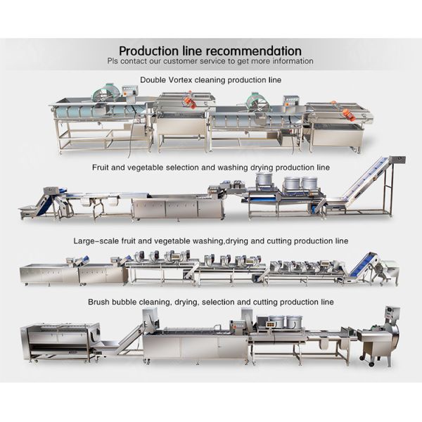 Automatic Fruit And Vegetable Processing Line Selection Washing Drying