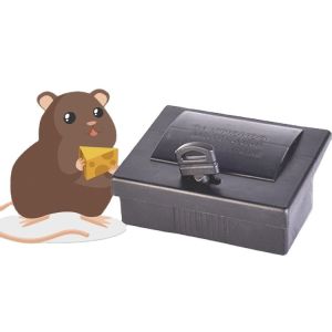 Regular Black PP Box Rat Mouse Bait Station Safe and Effective Solution for