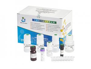 China High Accuracy Male Fertility Test Kit 40T/Kit For Male Infertility Diagnosis factory