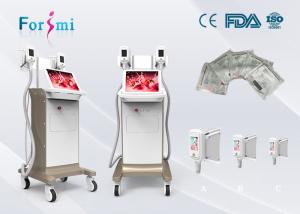 China body sculpting massage machine 3.5 inch Cryolipolysis Slimming Machine FMC-I Fat Freezing Machine factory