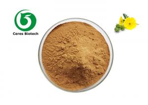 China Pure Natural Supplements Saponins 90% Tribulus Terrestris Extract Powder on sale
