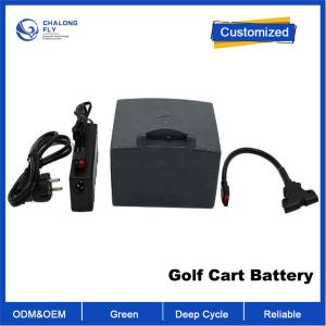 China OEM ODM LiFePO4 lithium battery pack Custom Golf Trolley Battery 24v 10ah Remote Control Electric Scooter battery factory