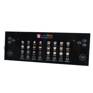 Touch Display Module Capacitive Membrane Switches LGF Backlighting Technology