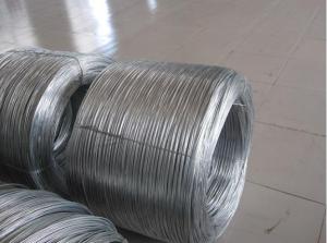 China 12 Gauge Electro Galvanized Wire factory