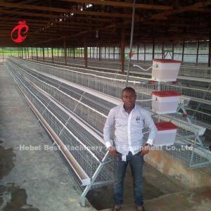 China Angle Bar Frame Poultry Battery Cage System H Type Layer Chicken Cage Africa Doris factory
