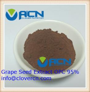 China ACNS00199 Grape Seed Extract OPC 95%/Polyphenols 85% | A Clover Nutrition Inc | red grape extract factory