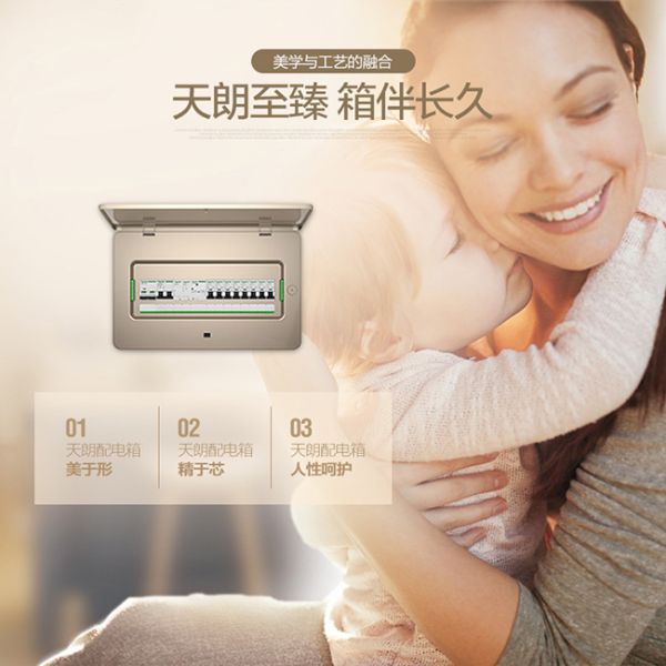 Plastic Lighting Distribution Box 12 16 18 20 24 36 Modules Surface Flush Type