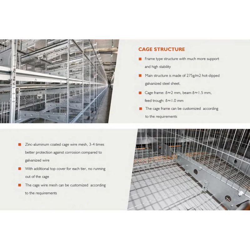 Galvanized Steel Automatic Chicken Cage with Adjustable Ventilation System for Low Maintenance Poultry Farming