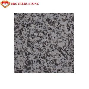 China G439 White Granite Tiles Cut To Size For Granite Bathroom Countertop factory