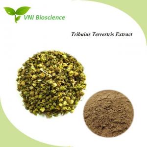 China Herb Tribulus Terrestris Fruit Extract Powder For Reduce Blood Pessure on sale