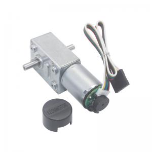 China Micro DC Electric Double Shaft Worm Geared Motor 6V 12V 24V 6-150RPM on sale
