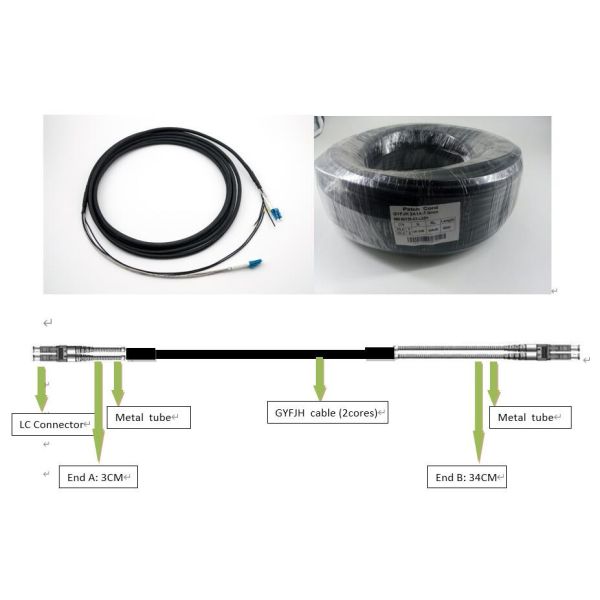 2 Core SM LSZH Armored Fiber Patch Cord