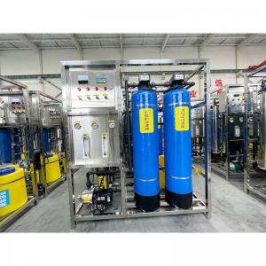 China 1000lph One Pass Ozone Water Purifier for Industrial Water Filtration and Purification on sale